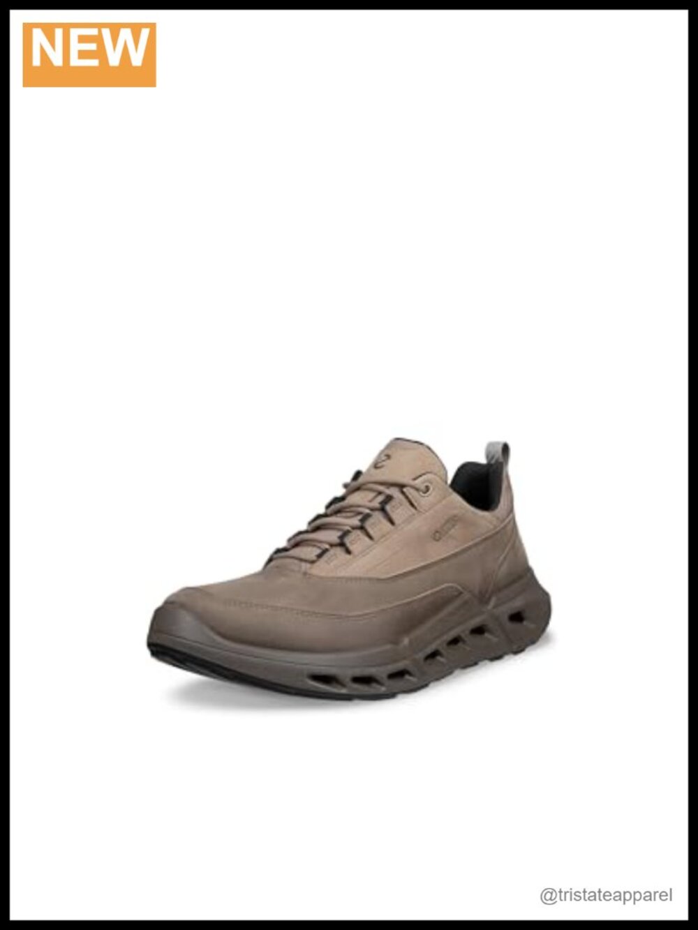 Gore-Tex Waterproof Leather Athletic Walking Shoes – Men's
